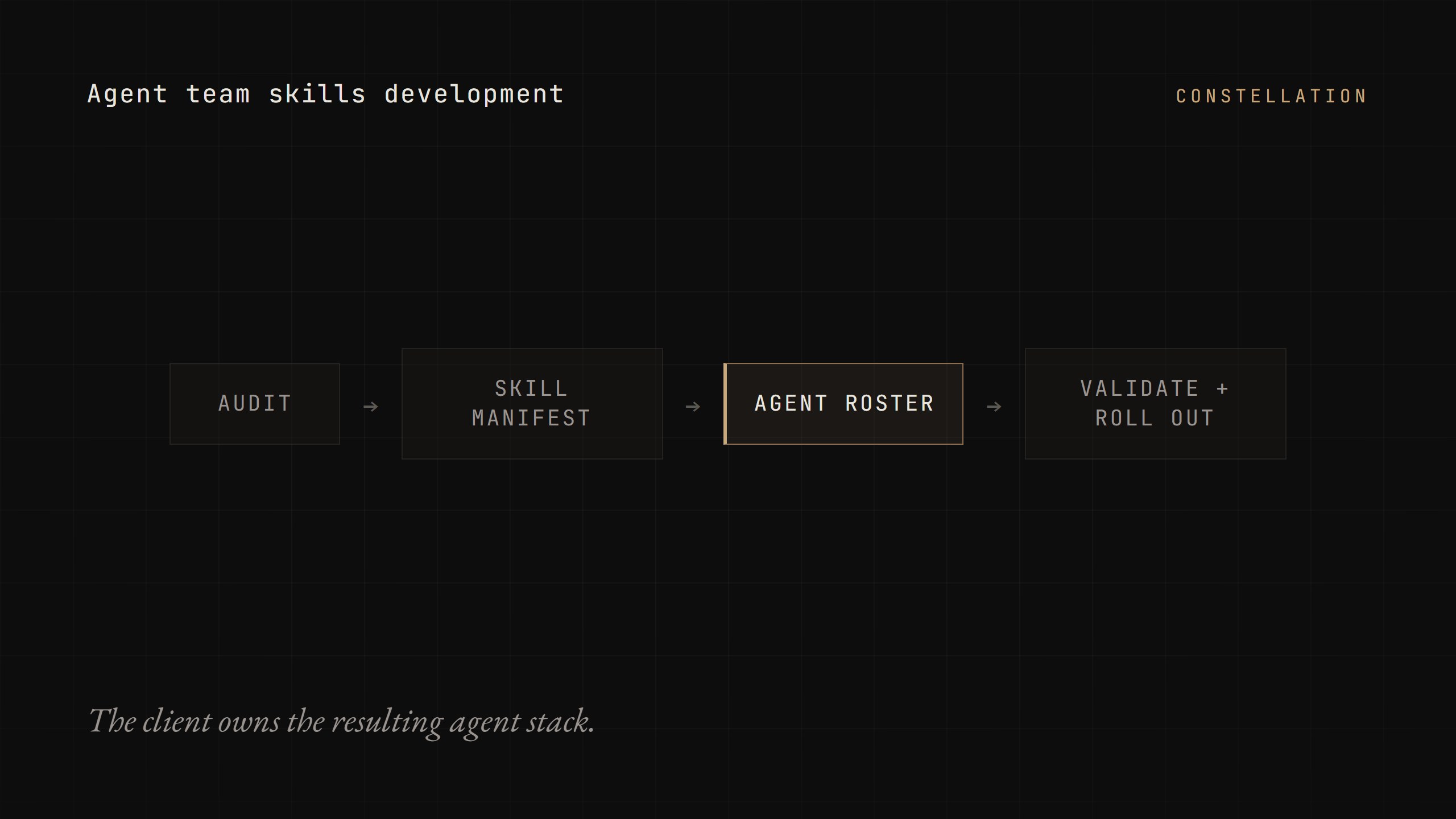 Agent team skills development